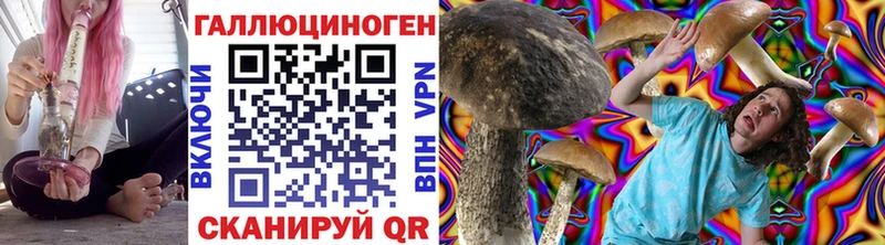 Псилоцибиновые грибы Cubensis  Купить закладки  Петропавловск-Камчатский 